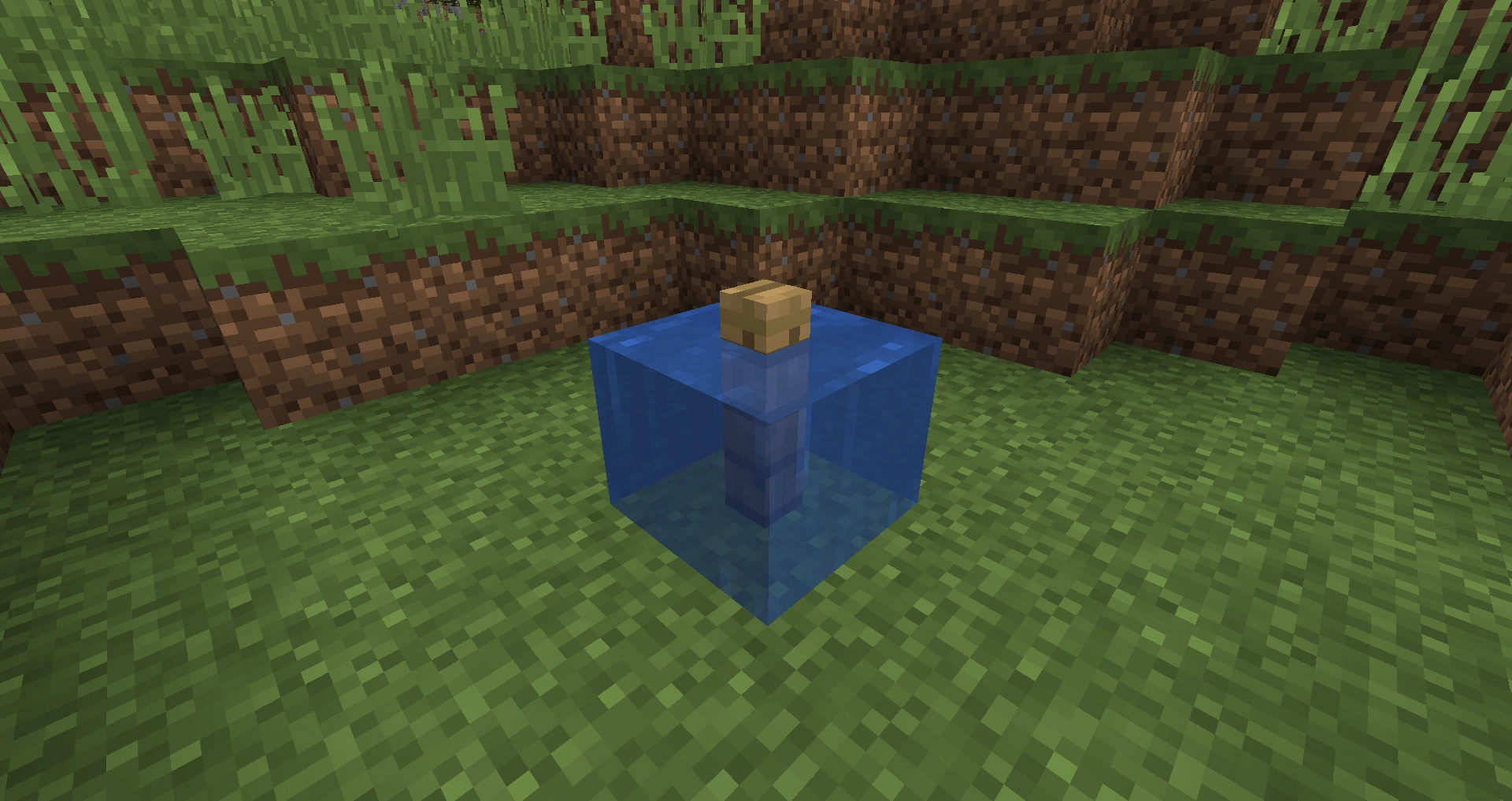 침수 - Minecraft 위키