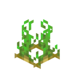 Potatoes Age 2 JE2 BE2