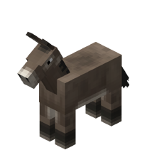 Donkey