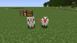 마인크래프트 닭 머리