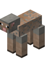 Sheared Light Gray Sheep