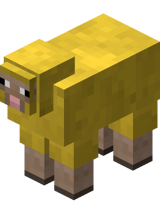 Yellow Sheep BE