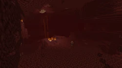Nether wastes