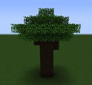 Dark Oak Tree2