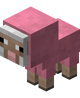 Baby Pink Sheep