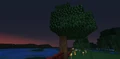 세계의 끝 부근에 생성된 나무가 생성이 중단되었다. 나무도 이처럼 이상하게 생겼다.