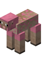 Sheared Pink Sheep