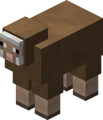 Brown Sheep Revision 1.png