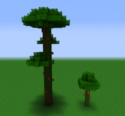 Jungle Trees