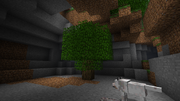 CaveTree