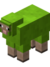 Lime Sheep BE