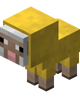 Baby Yellow Sheep