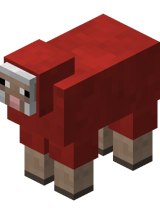 Red Sheep