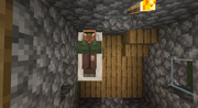 Villager sleeping