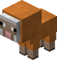 Baby Orange Sheep Revision 1.png