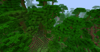 Jungle 12w03a