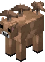Brown Mooshroom