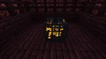 Een close up van een Blaze Spawner in een Netherfort.