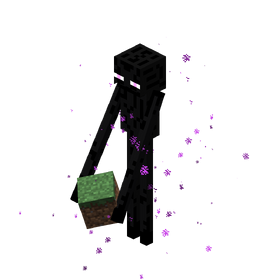 Enderman Holding