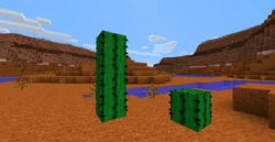 De veelvoorkomende cactussen.