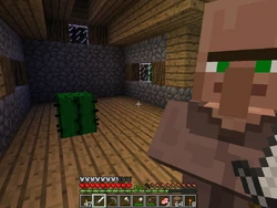 Een cactus in een huis van een dorpje.