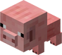 Baby Pig.png