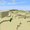 Zand