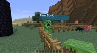 Een Creeper die een naam heeft gekregen door middel van een naamkaartje.