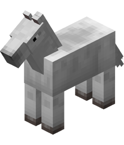 Paard