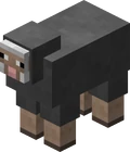 Grijze Schapen (Natuurlijk of geverfd) 5%