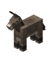 Donkey