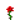 Rose (2D)