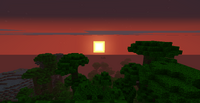 Sunset In Jungle