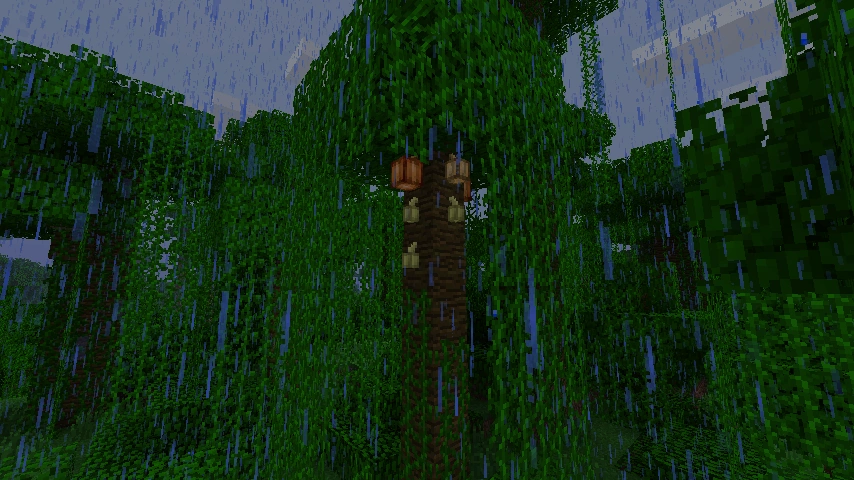 Cacao Minecraft Wiki