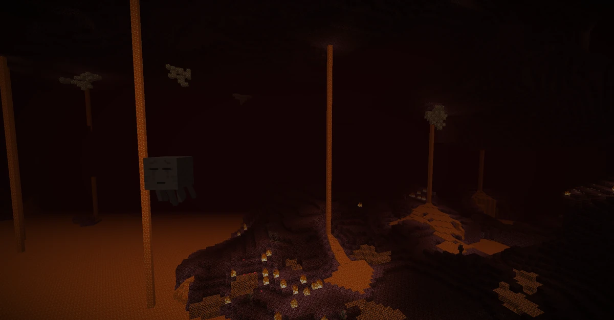 De Nether - Minecraft Wiki