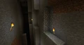 A dungeon that spawned in a ravine.