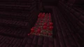 Een Nether Wart dat naast een trap groeit
