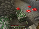 Zeldzame verschijning van paddenstoelen op mossige keistenen in een kerker.
