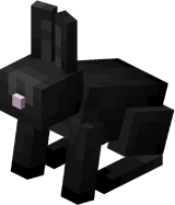 Black Rabbit