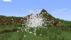 Particle snowshovel