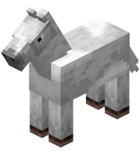 White Horse with White Field