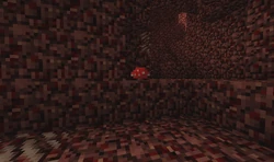 Czerwony grzyb w Netherze