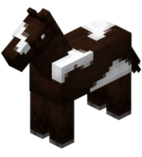 Darkbrown Horse with White Field