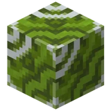 Zielona glazurowana terakota