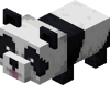 Mała figlarna panda