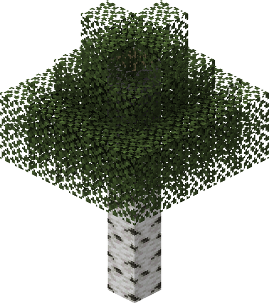 Plik:Brzozowe drzewo.png