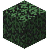 Świerkowe liście(Fast)