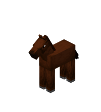 Brown Baby Horse
