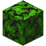 Tropikalne liście(Fast)