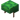 Skorupa żółwia